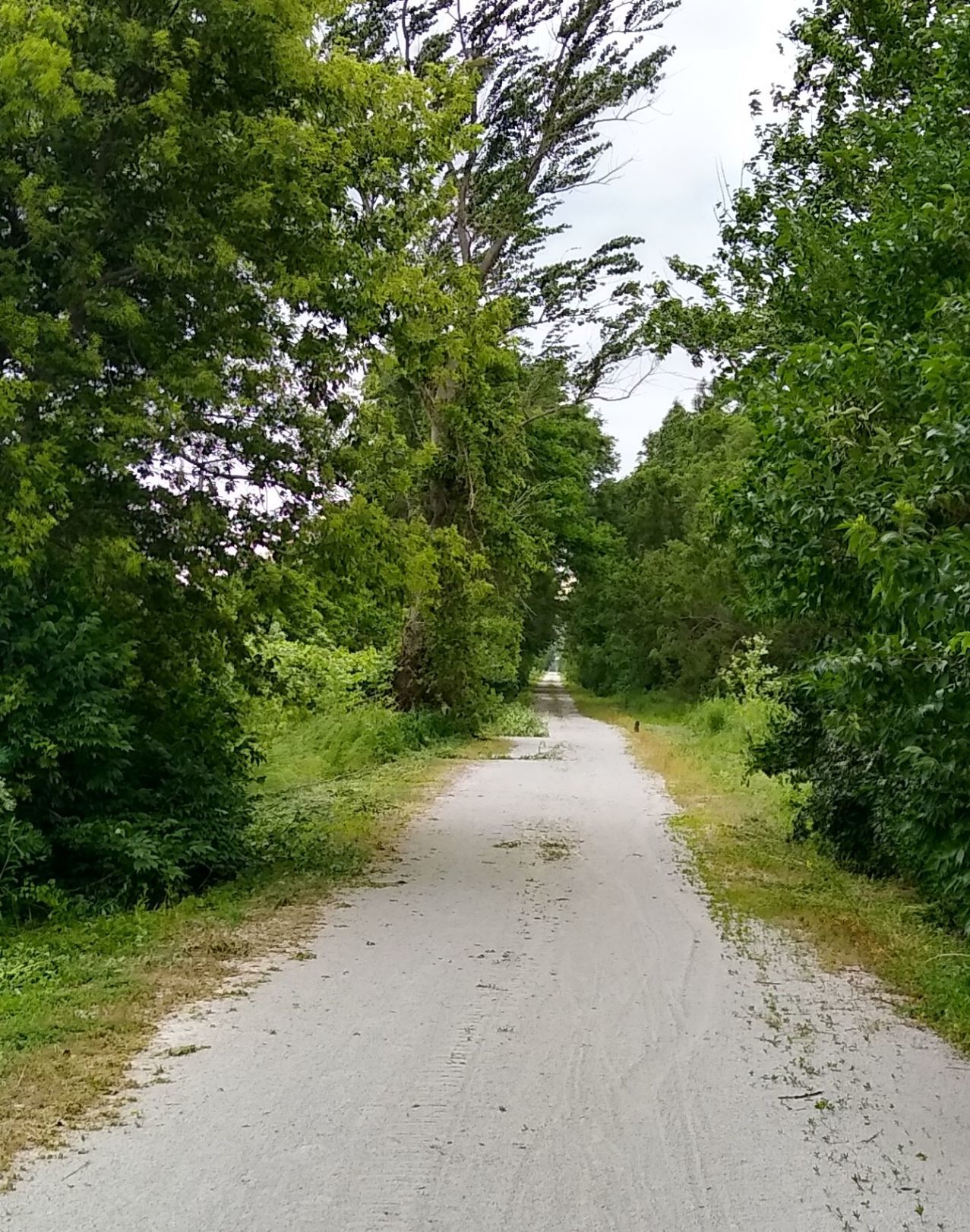 trail